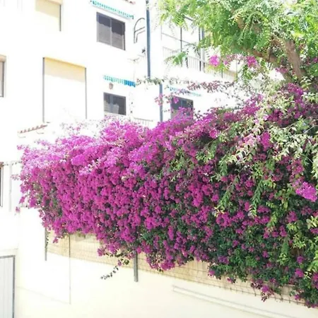 Con Encanto, 100m2, A 800 M De La Playa El Campello